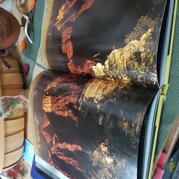 💙THE WILD PLACES - Picture 9 of 12